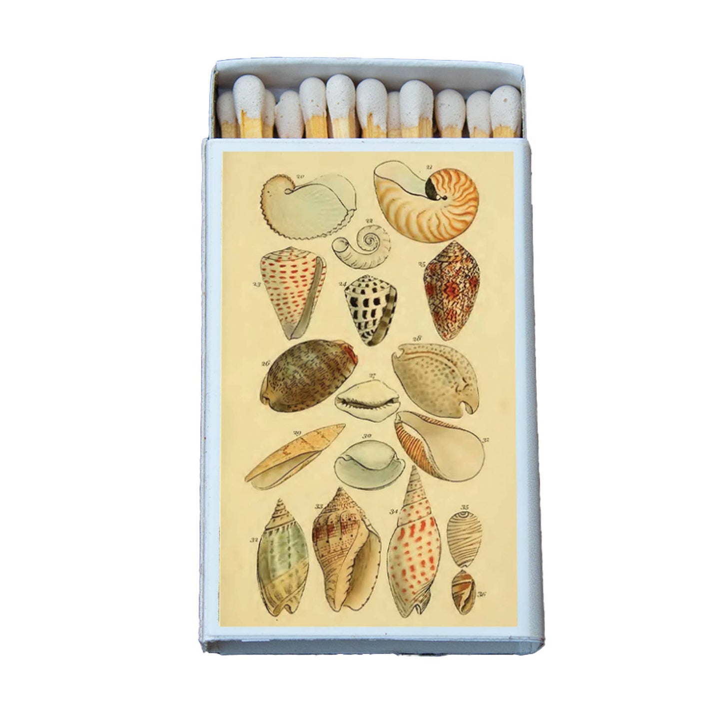 Matches • Shells Variety •