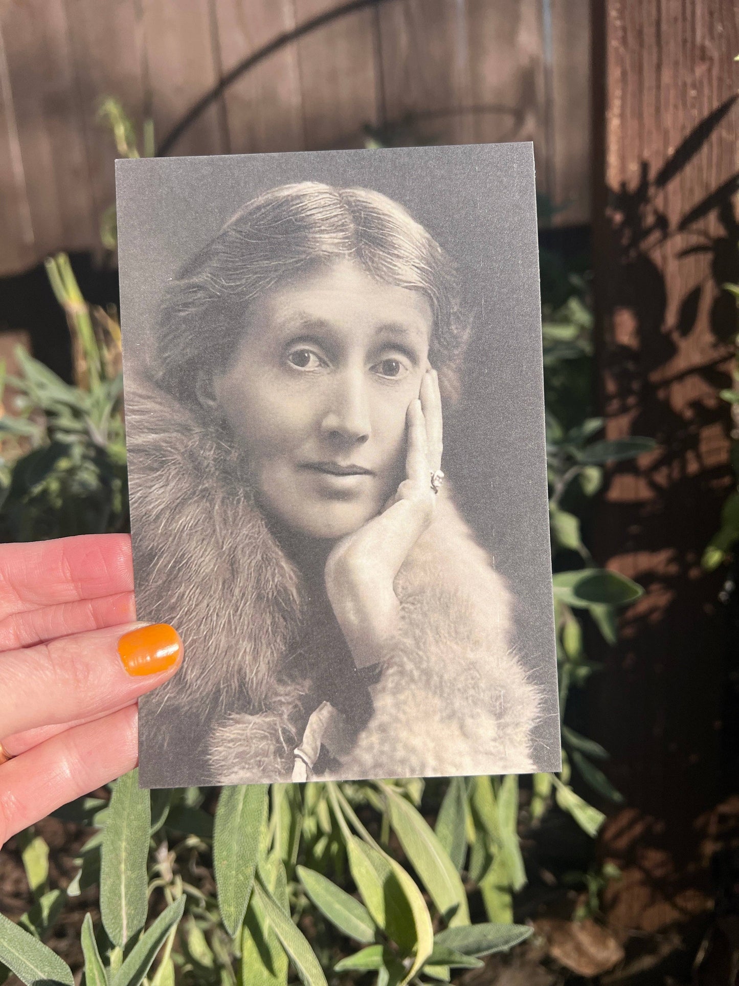 POSTCARD Virginia Woolf