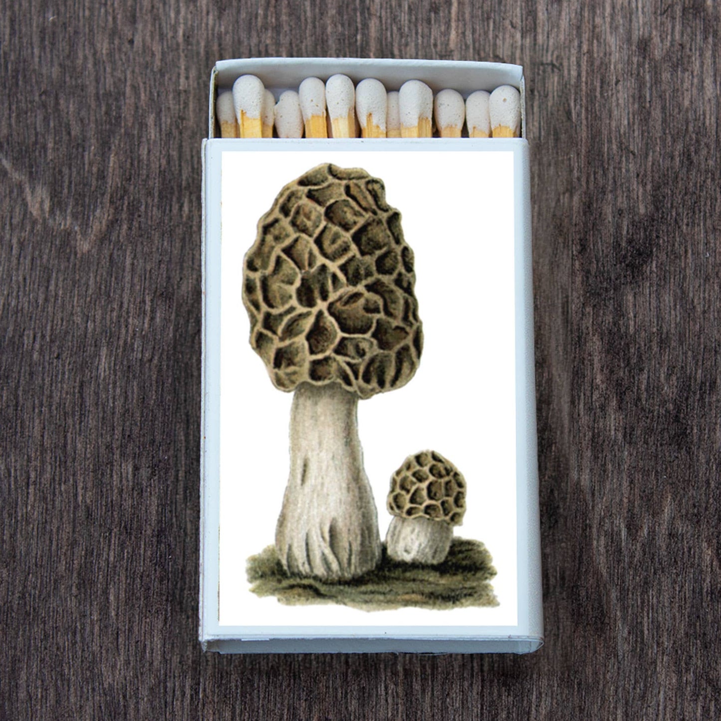 Matches • Mushroom Morchel •