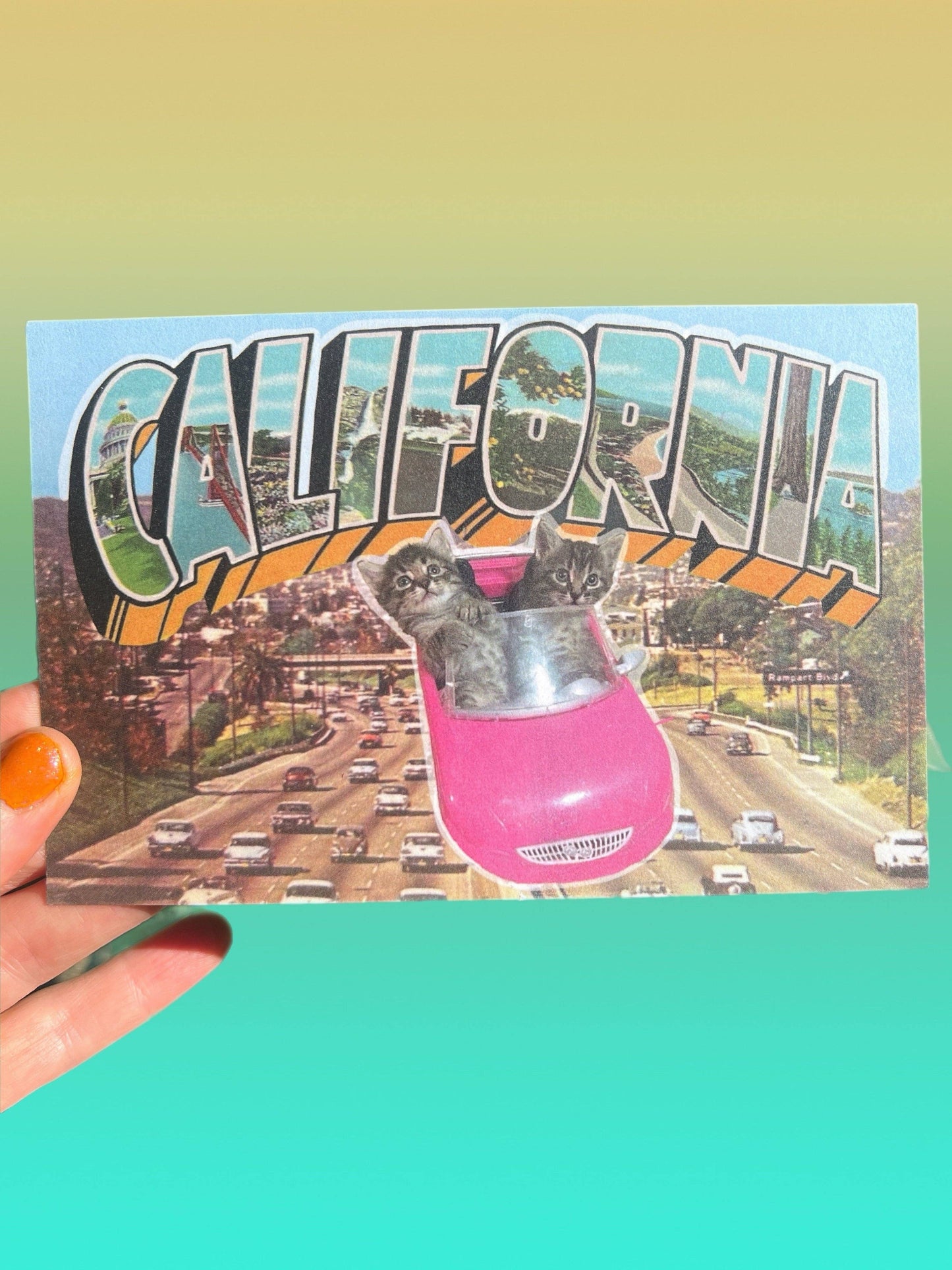 POSTCARD California Freeway Cats