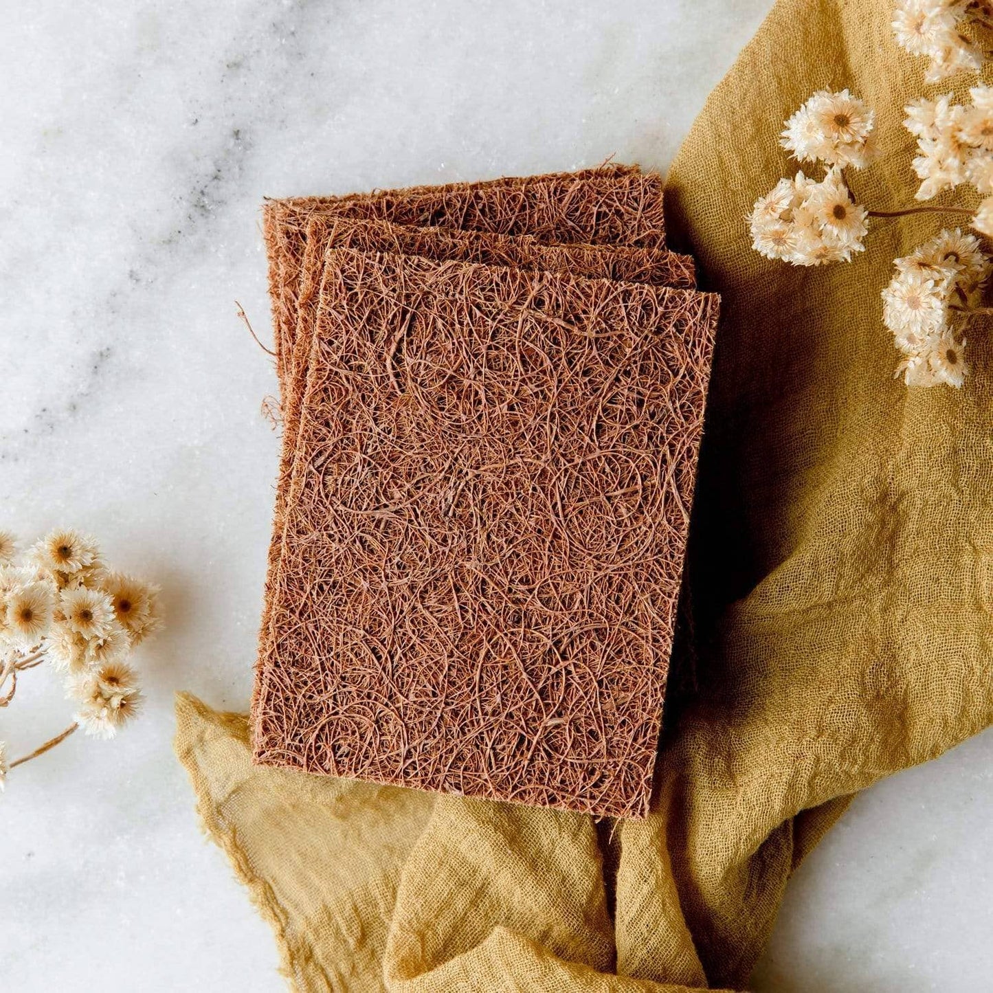 Biodegradable Coconut Kitchen Scourers- 5 Pack, Plastic Free