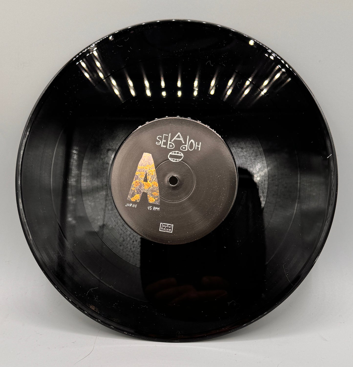 Sebadoh Secret EP 10" Vinyl