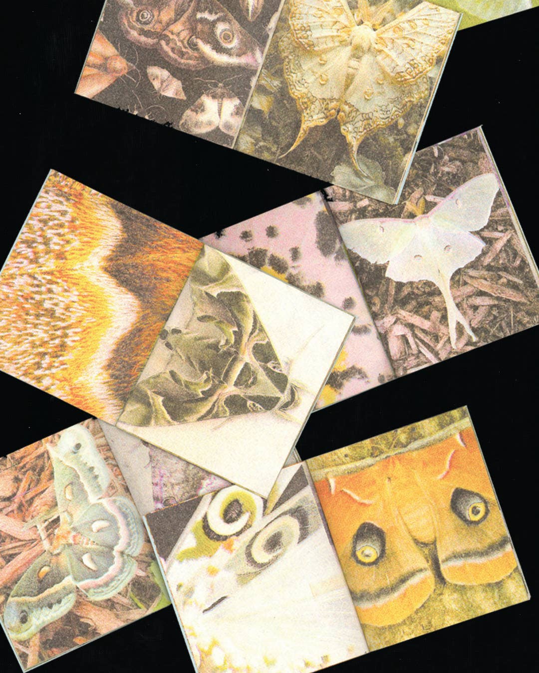 A Pocketful of Moths • Risograph Printed Mini Zine