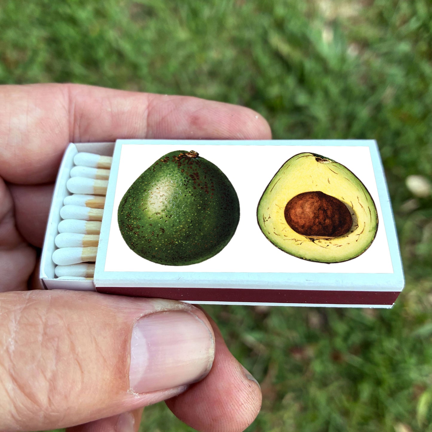 Matches • Avocado •