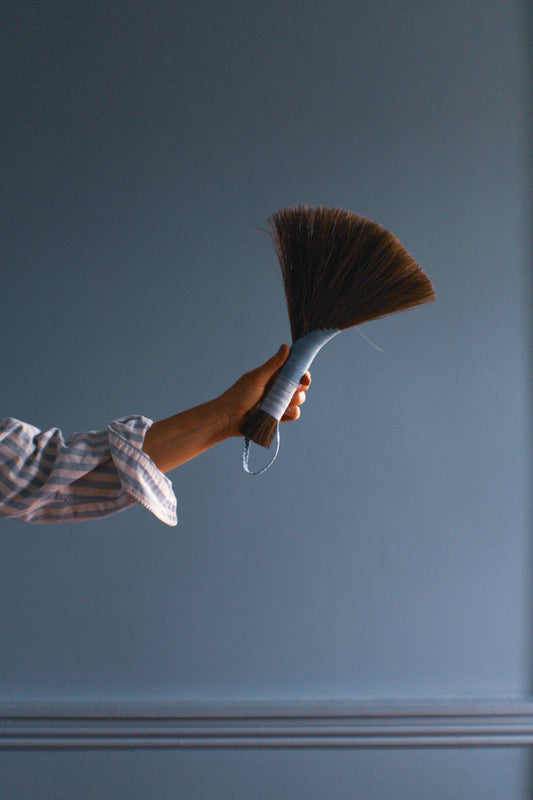 Tampico Wing brush/broom