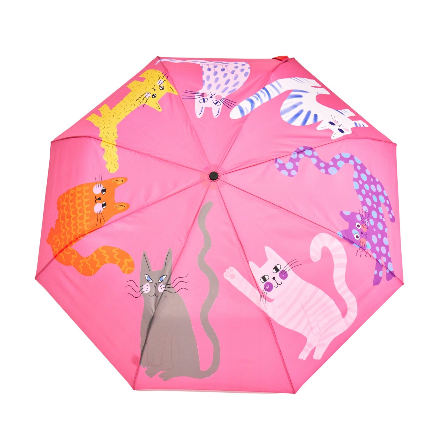Arty Cats Duck Umbrellas