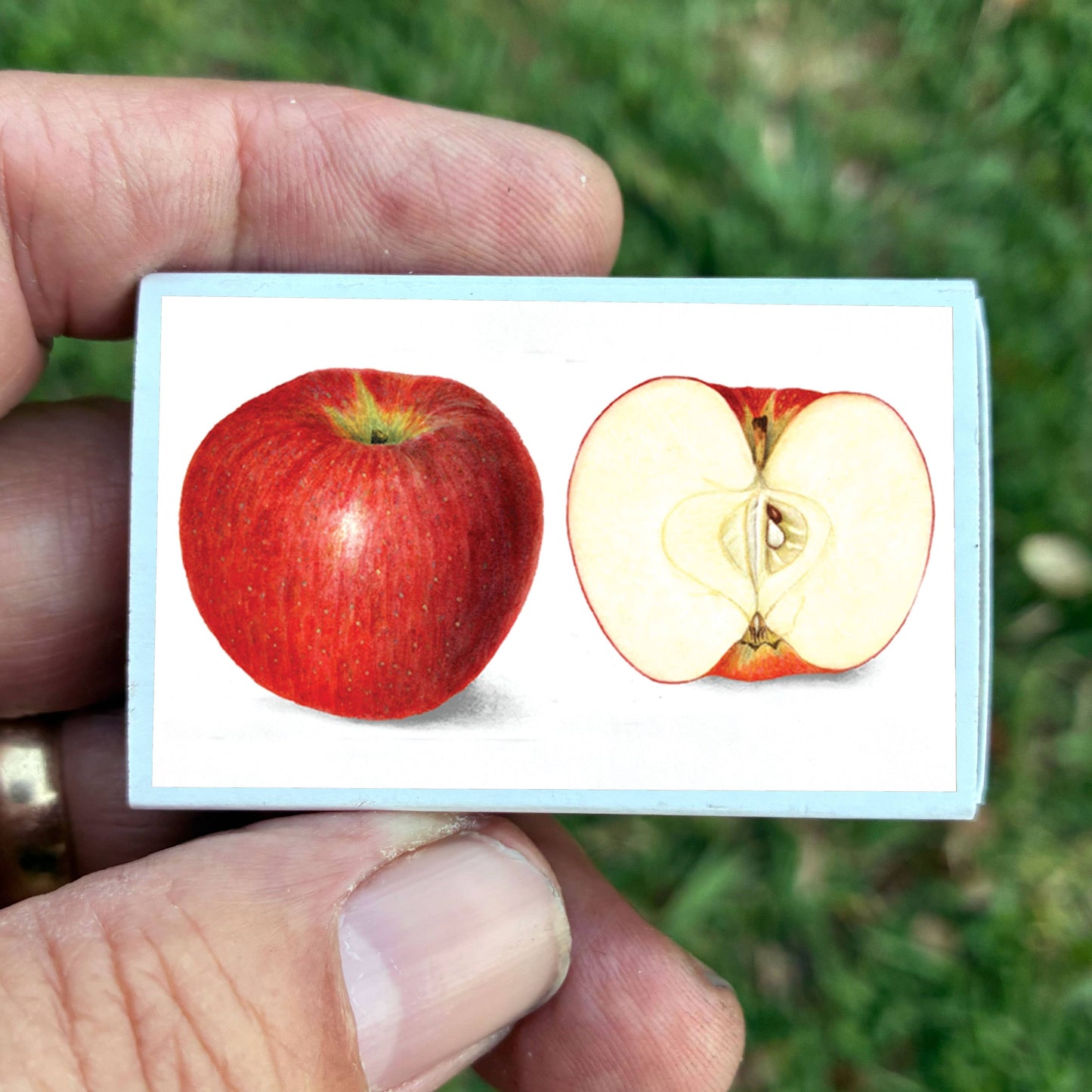Matches • Red Apple