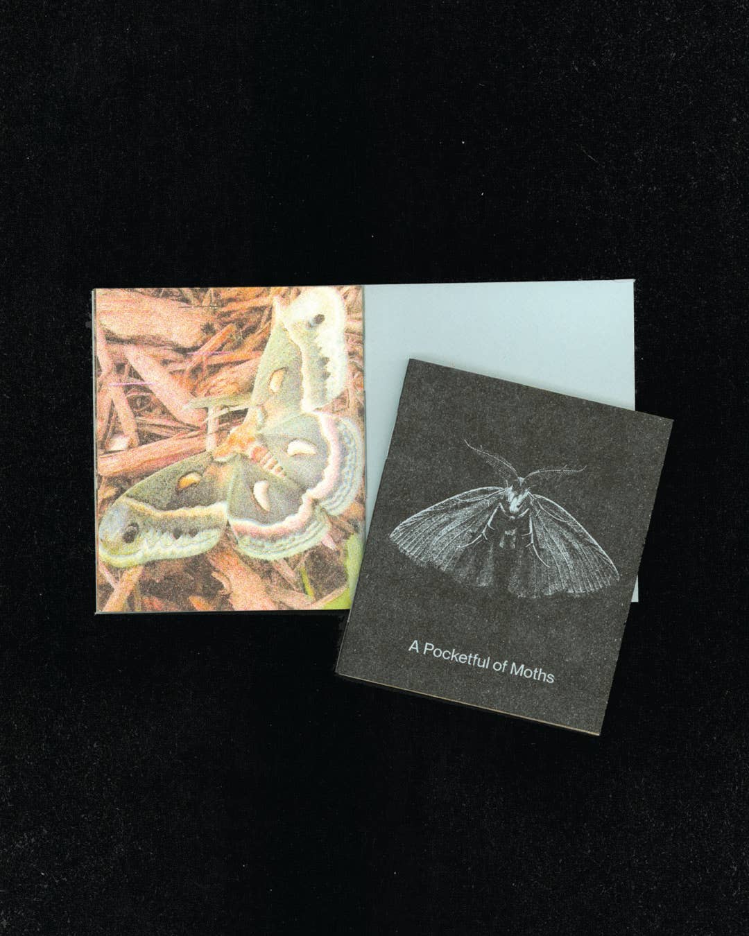 A Pocketful of Moths • Risograph Printed Mini Zine