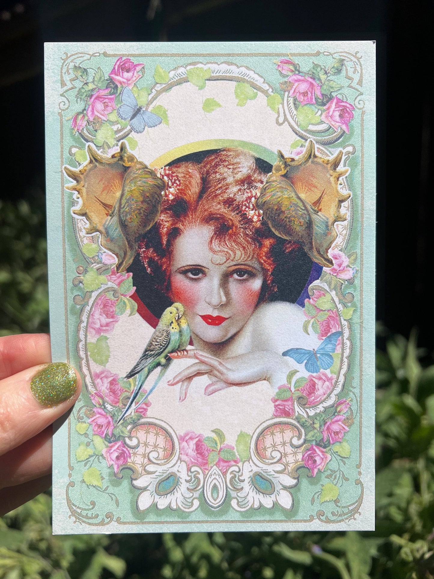 POSTCARD Parakeet Starlet Clara Bow