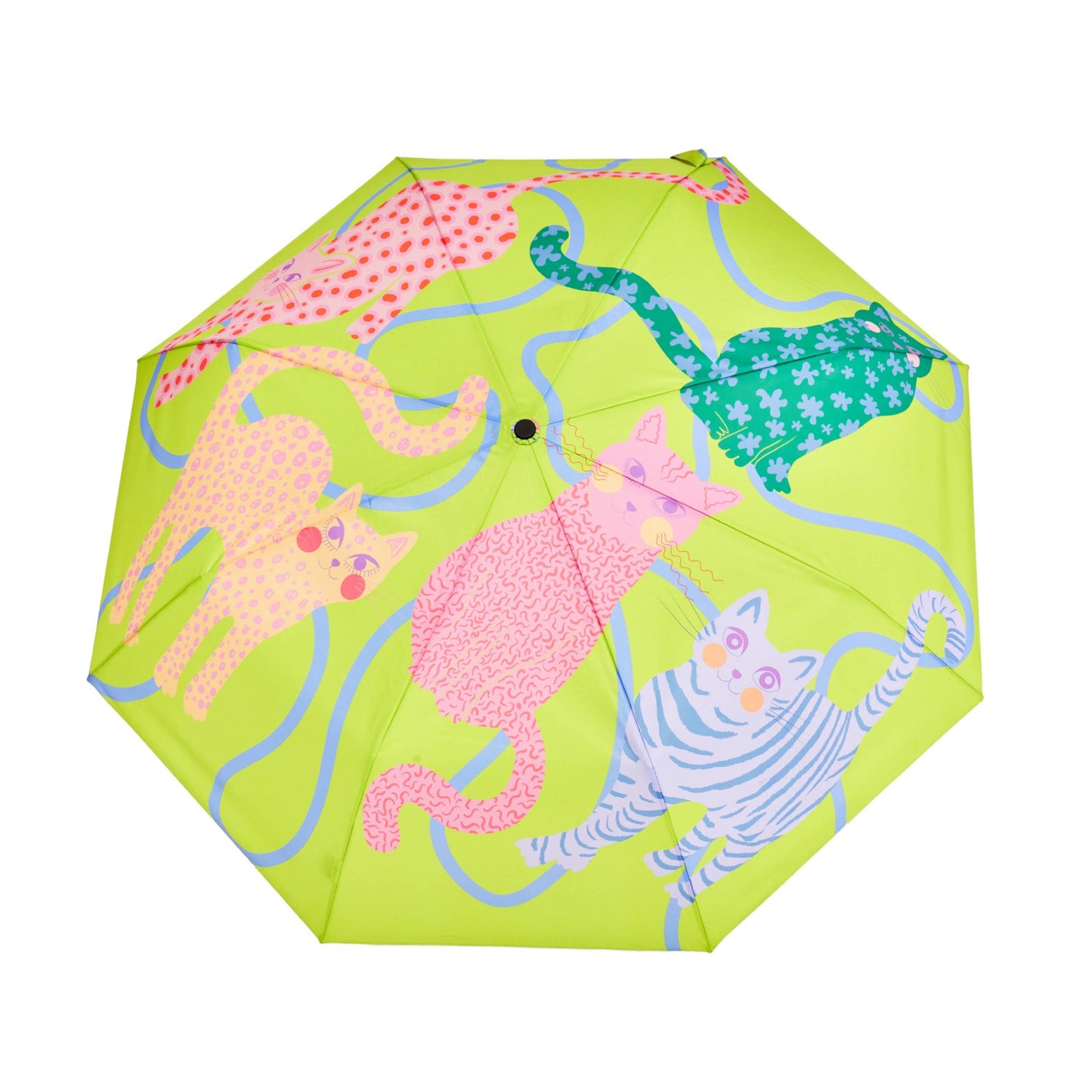 Arty Cats Duck Umbrellas