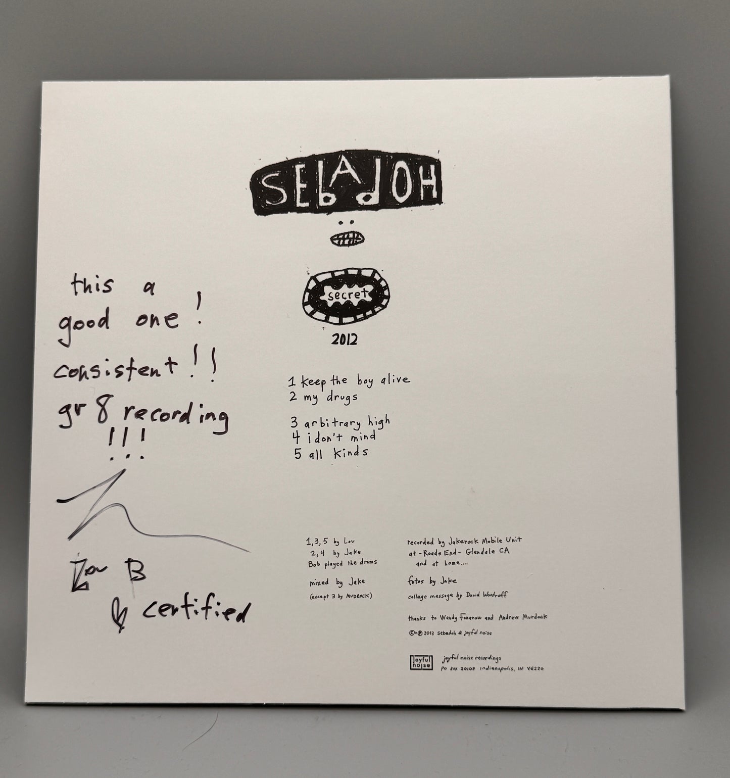 Sebadoh Secret EP 10" Vinyl