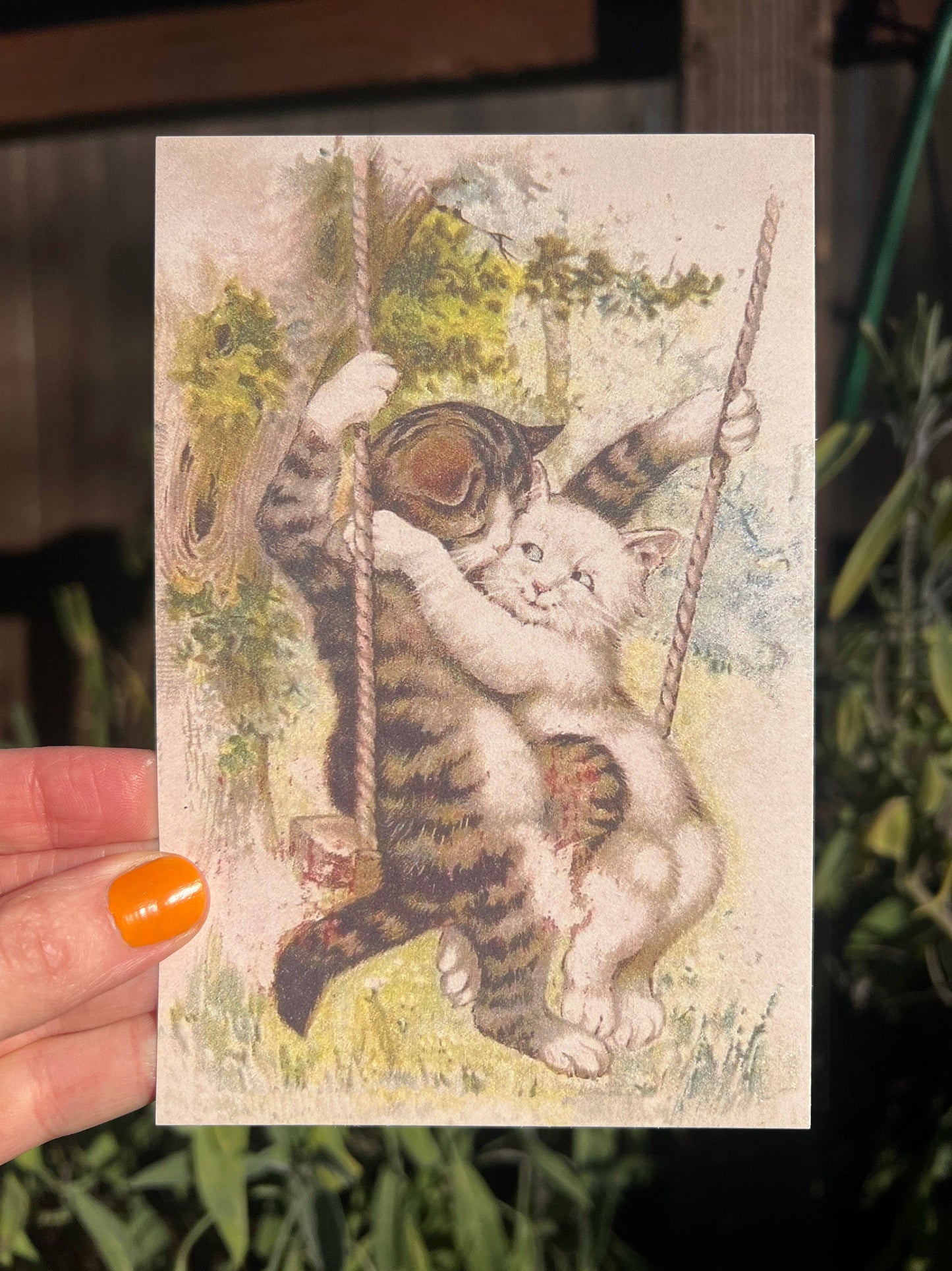 POSTCARD Cats on a Swing