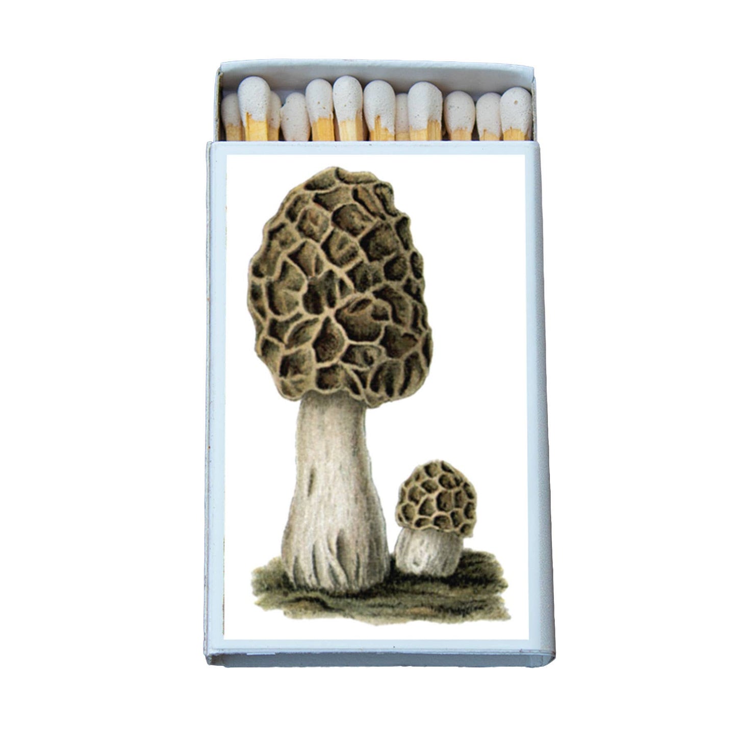 Matches • Mushroom Morchel •