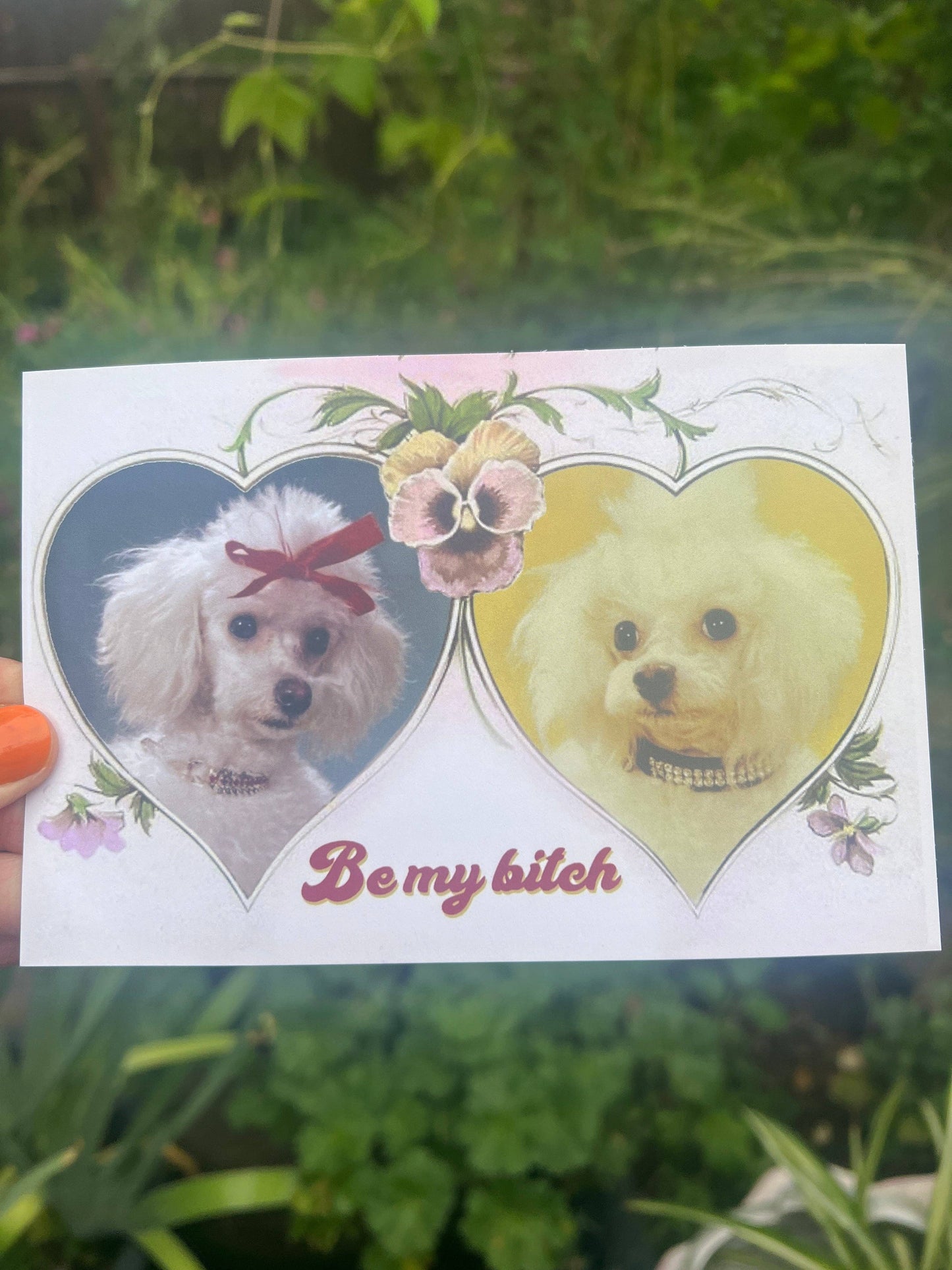 POSTCARD Be My B*tch