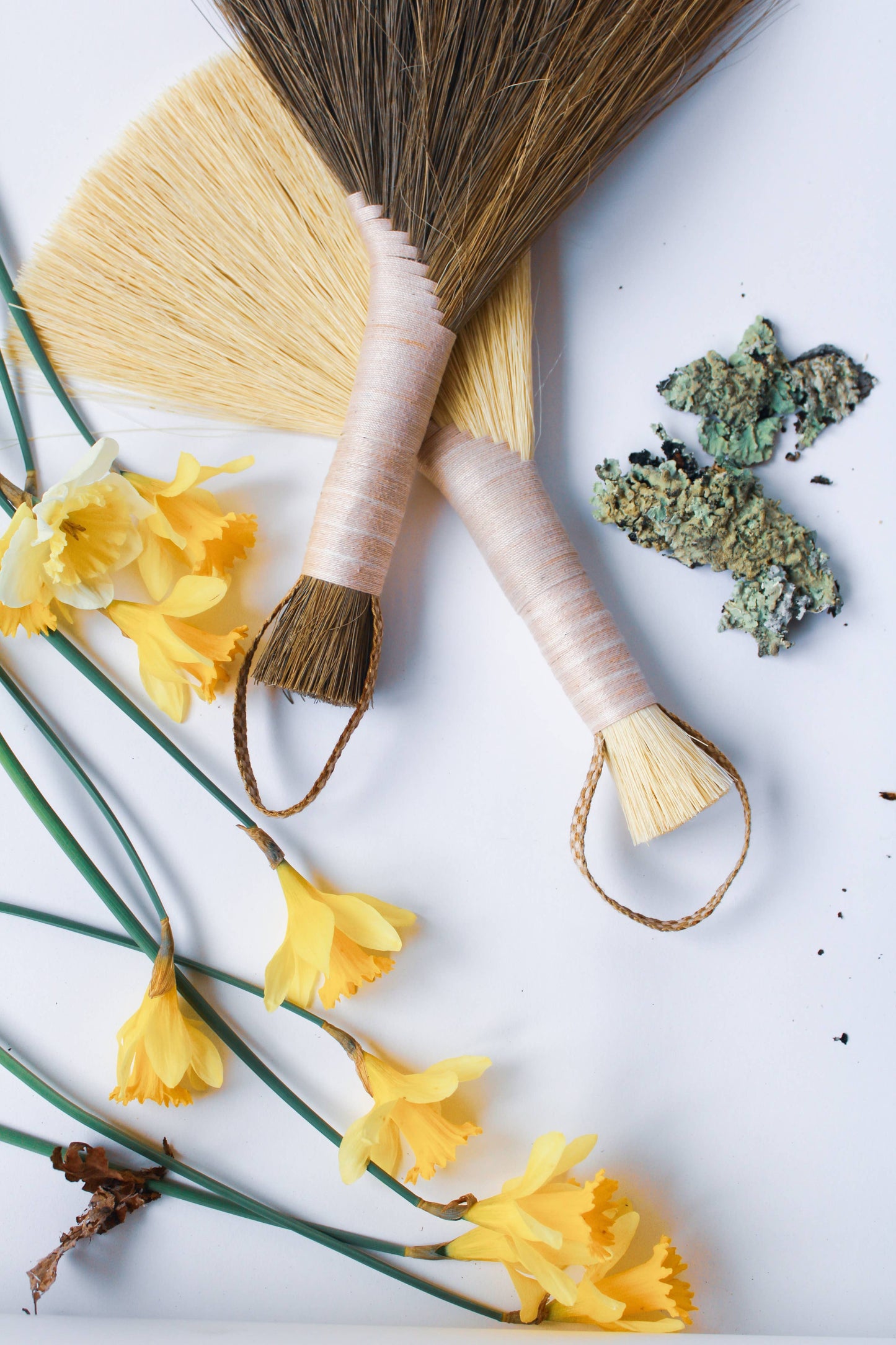 Tampico Wing brush/broom