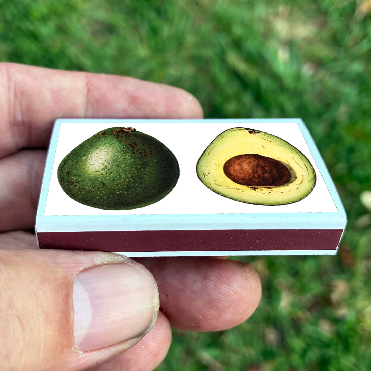Matches • Avocado •