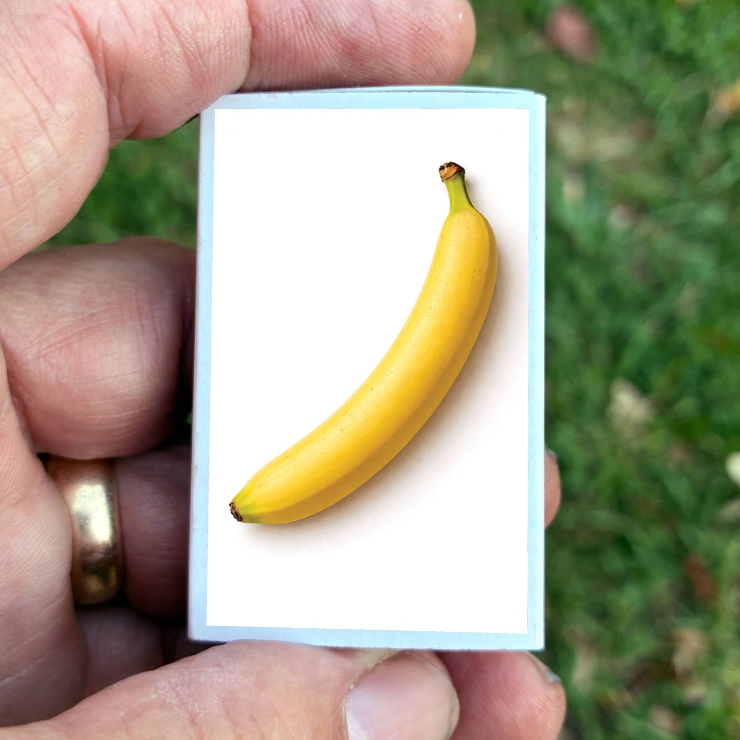 Matches • Banana Matchbox •