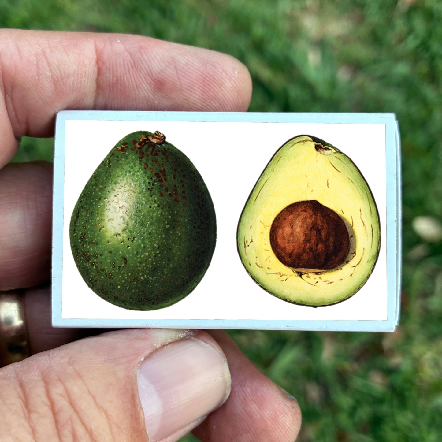 Matches • Avocado •